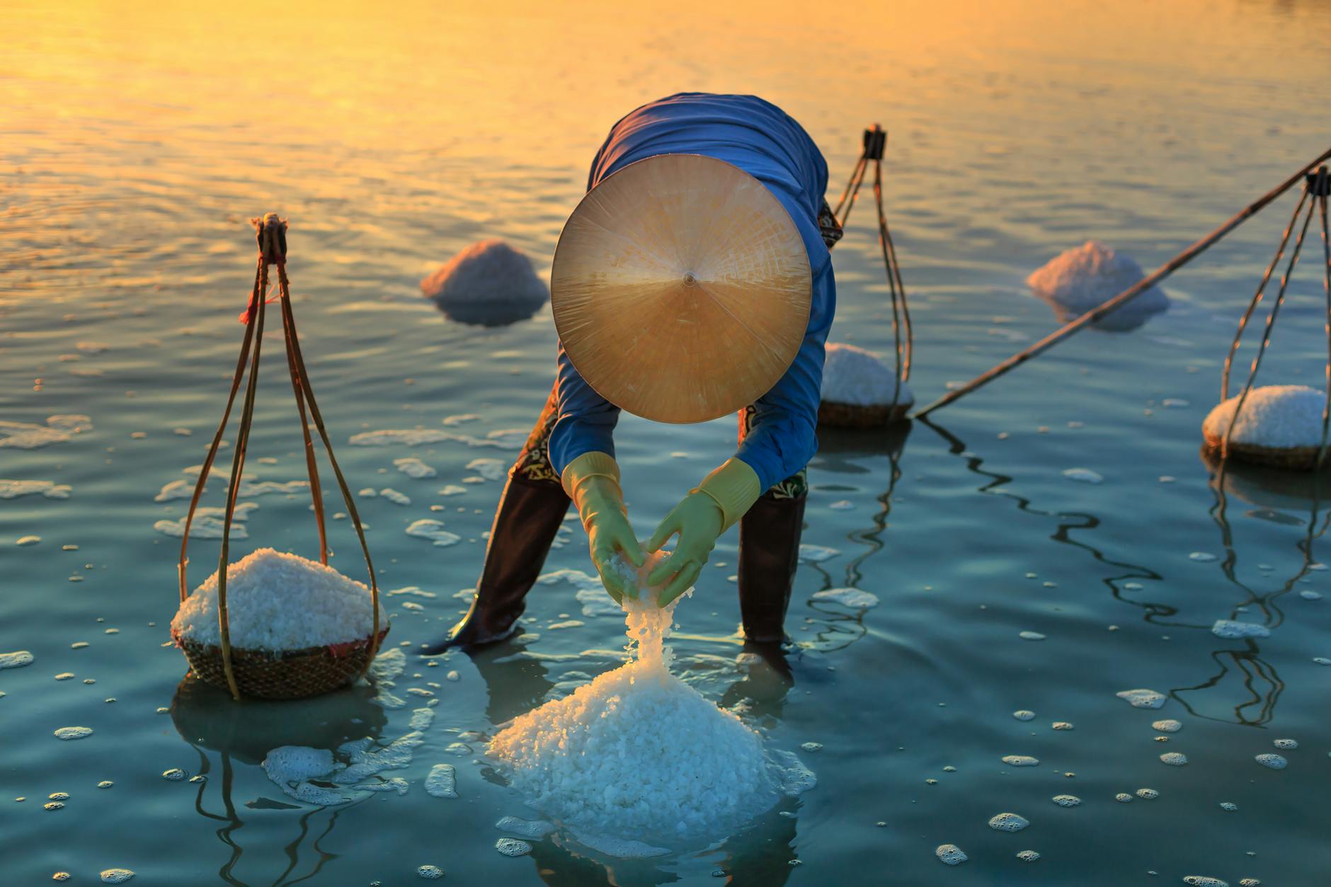 AICE Marine Science AS Chapter 1 Water  Day 2